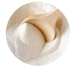 Milk Powder